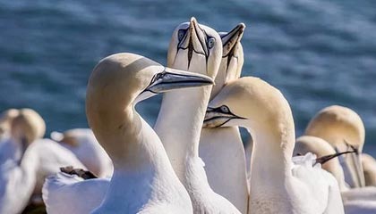 开云体育app-DRX力克FNC，369统治全场：电竞之神降临，王者归来